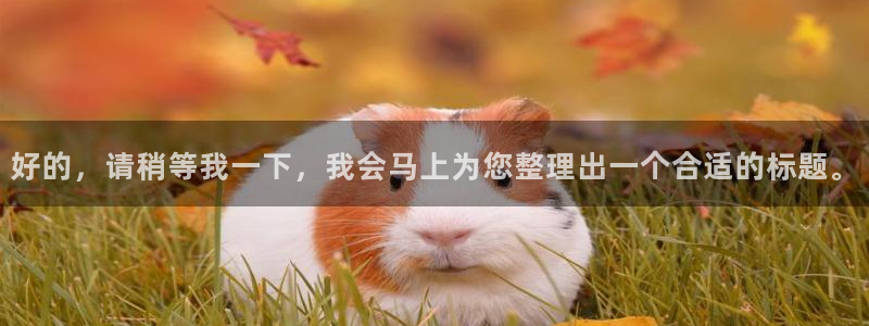 哔咔漫画软件下载